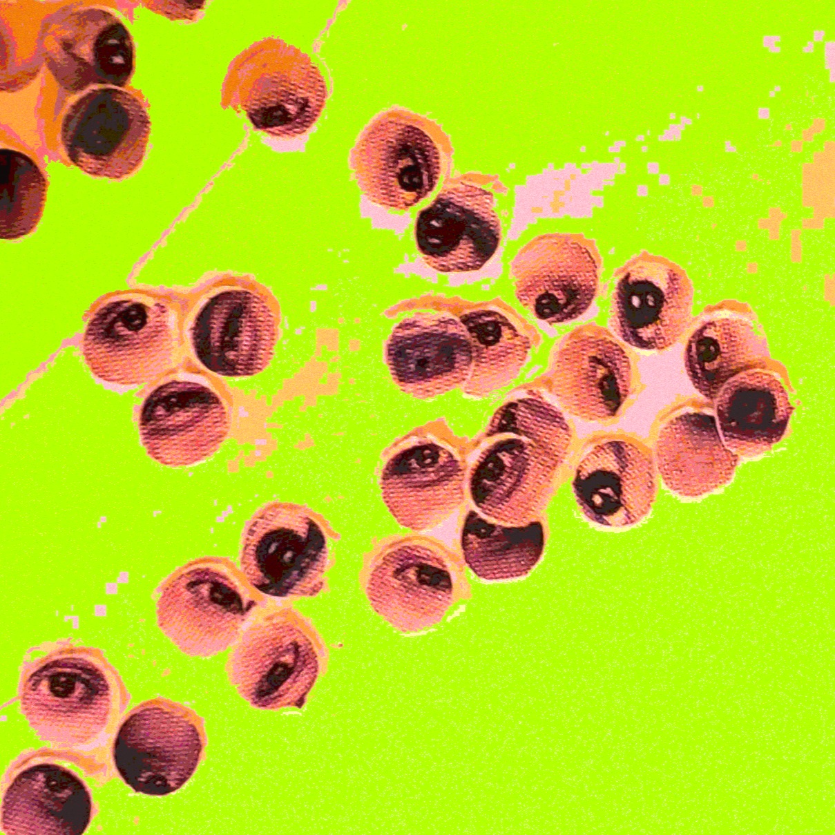 song cover art for From Whence Our Eyes Opened Purple