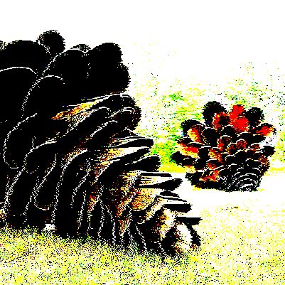 song cover art for The Quintessential Pineapple Protection Parade